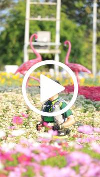 BIB:  <button type="button" onclick="openModal(27583572)" class="btn btn-primary btn-sm float-right" data-toggle="modal" data-target=".modal-high-quality">
                <i class="fa fa-download"></i> Download
                </button>